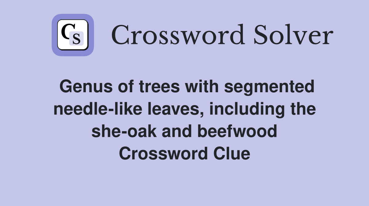 Genus of trees with segmented needlelike leaves, including the sheoak